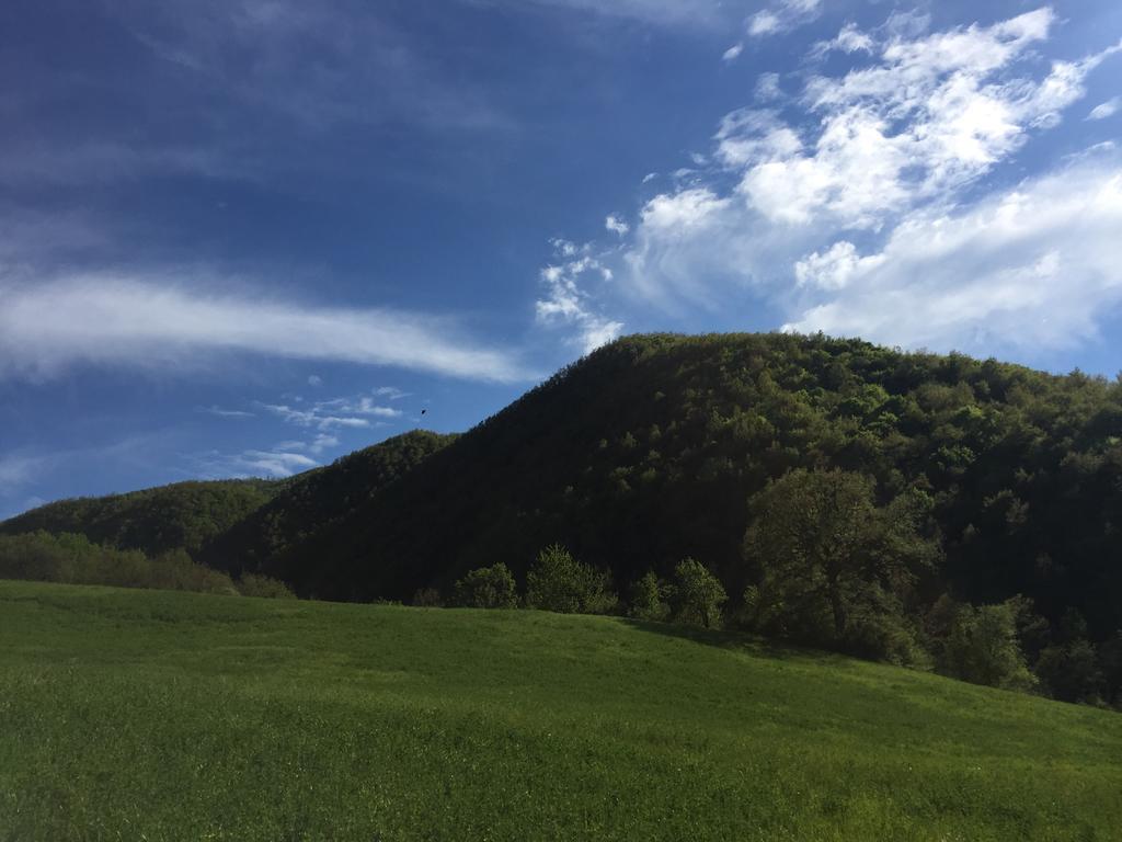 Agriturismo La Ferraia Pianello  Kültér fotó