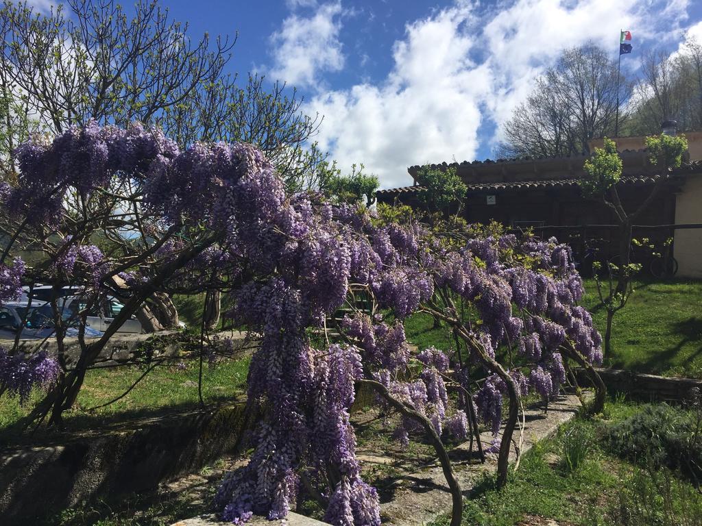 Agriturismo La Ferraia Pianello  Kültér fotó