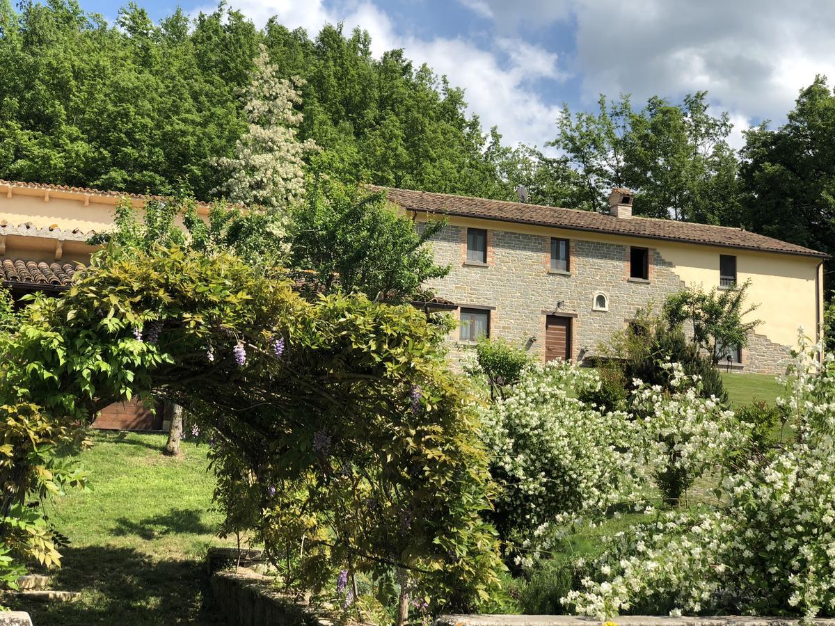 Agriturismo La Ferraia Pianello  Kültér fotó