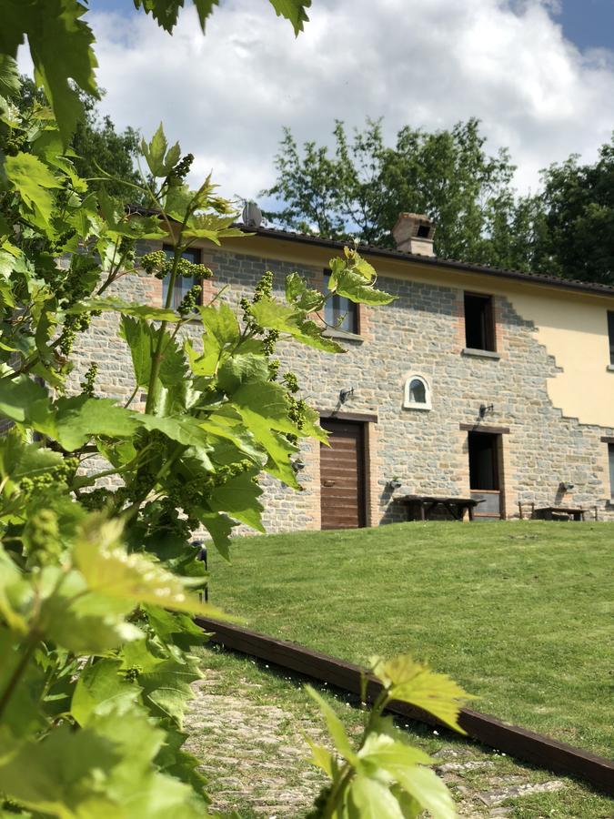 Agriturismo La Ferraia Pianello  Kültér fotó